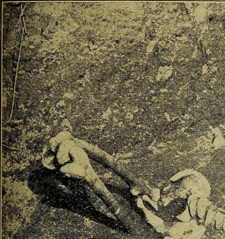 An illustration from Ohio archæological and historical quarterly, 1887, leaf 332