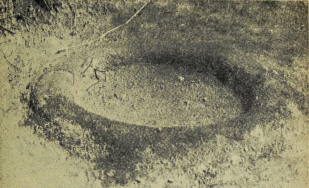 An illustration from Ohio archæological and historical quarterly, 1887, leaf 350