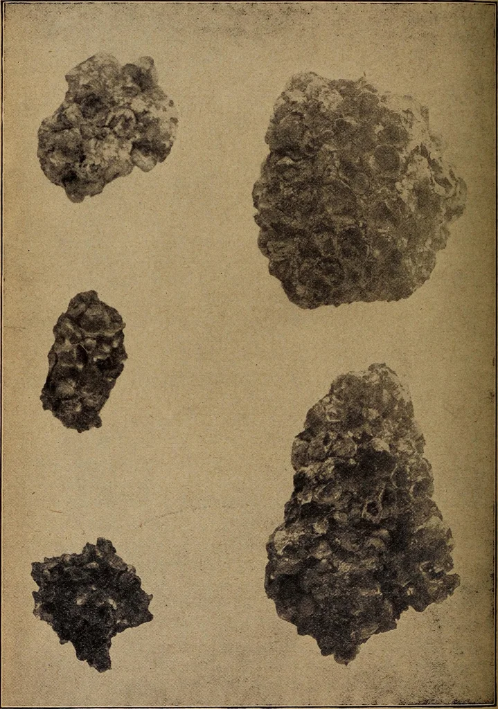 An illustration from Ohio archæological and historical quarterly, 1887, leaf 357