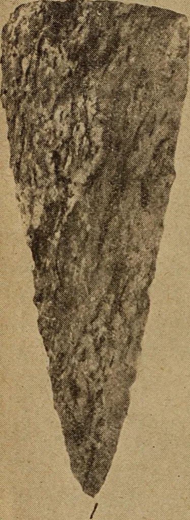 An illustration from Ohio archæological and historical quarterly, 1887, leaf 361