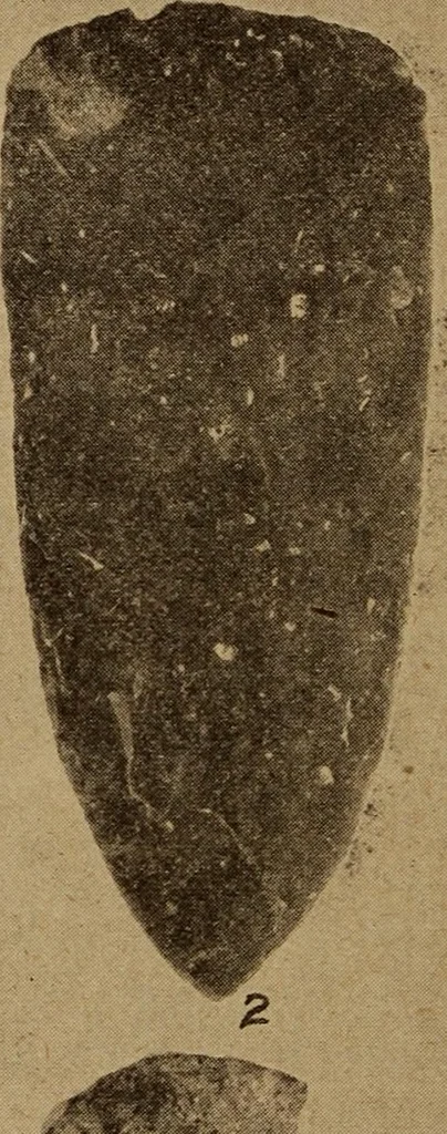 An illustration from Ohio archæological and historical quarterly, 1887, leaf 361