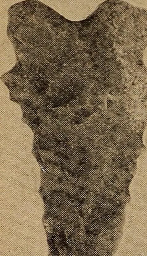 An illustration from Ohio archæological and historical quarterly, 1887, leaf 361