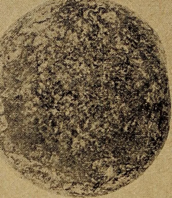 An illustration from Ohio archæological and historical quarterly, 1887, leaf 363