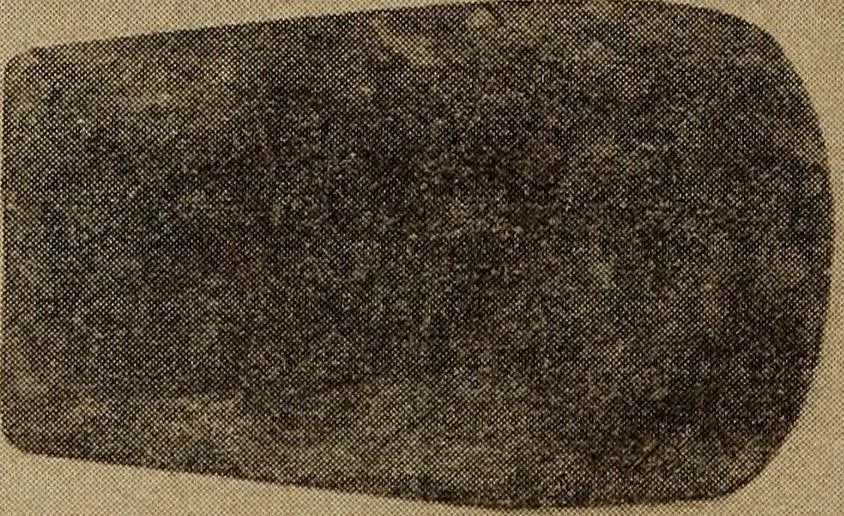 An illustration from Ohio archæological and historical quarterly, 1887, leaf 365