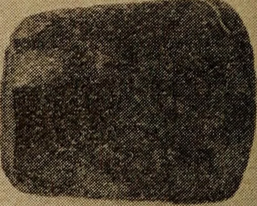 An illustration from Ohio archæological and historical quarterly, 1887, leaf 365