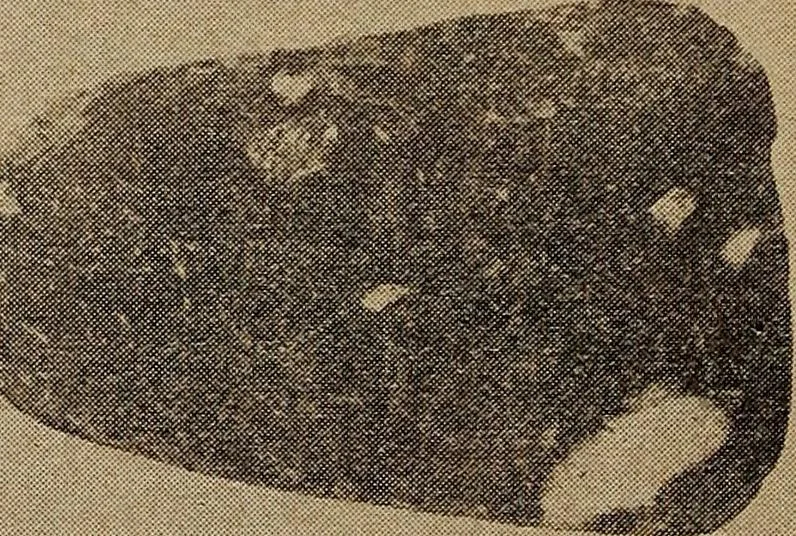 An illustration from Ohio archæological and historical quarterly, 1887, leaf 365