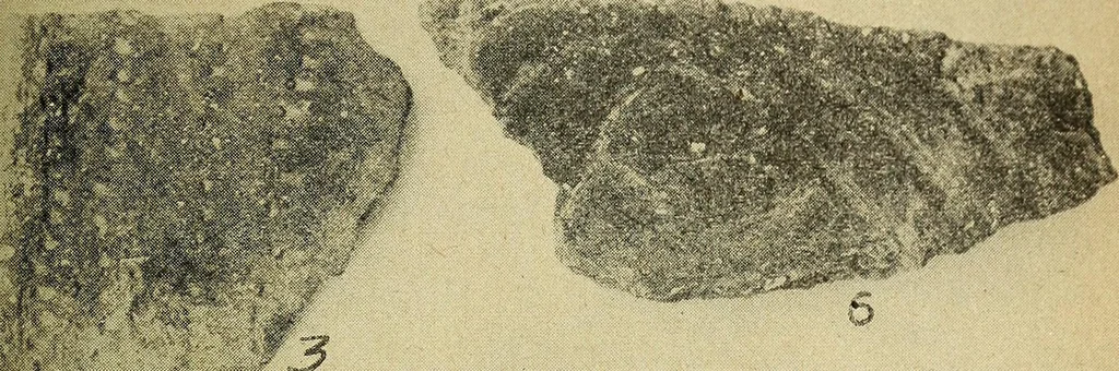 An illustration from Ohio archæological and historical quarterly, 1887, leaf 370