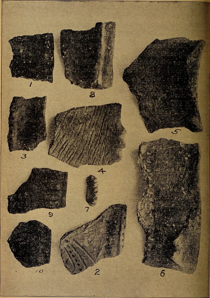 An illustration from Ohio archæological and historical quarterly, 1887, leaf 371