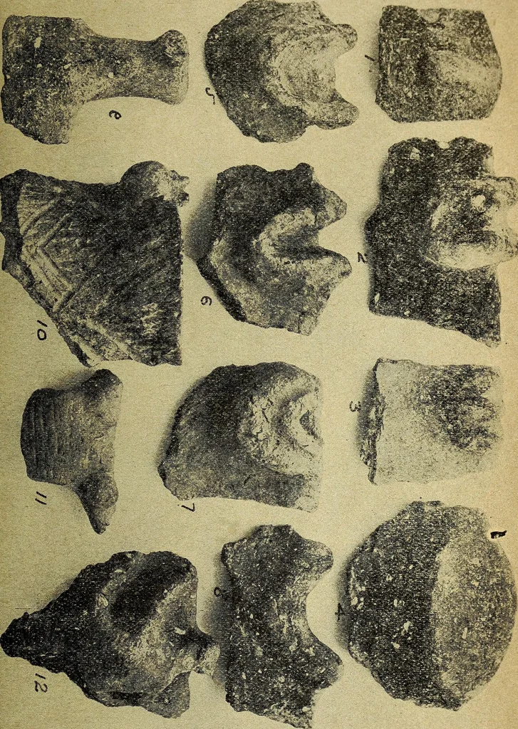 An illustration from Ohio archæological and historical quarterly, 1887, leaf 372