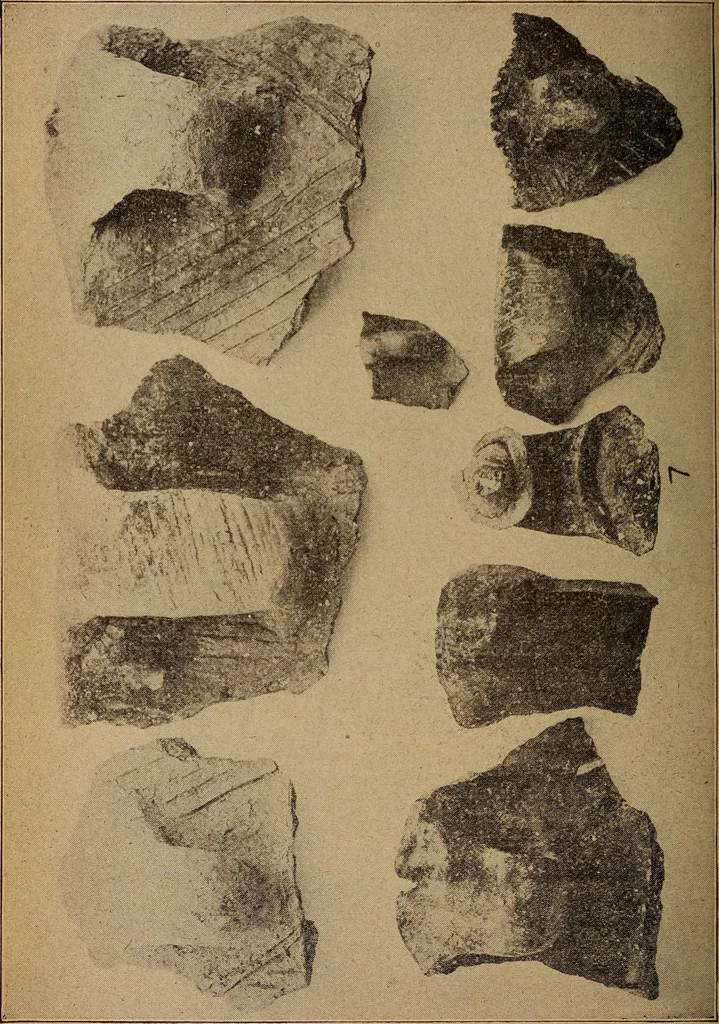 An illustration from Ohio archæological and historical quarterly, 1887, leaf 373