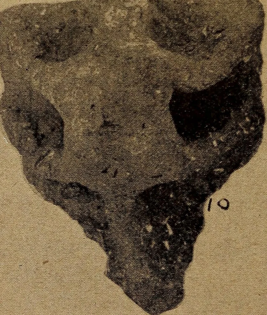 An illustration from Ohio archæological and historical quarterly, 1887, leaf 375