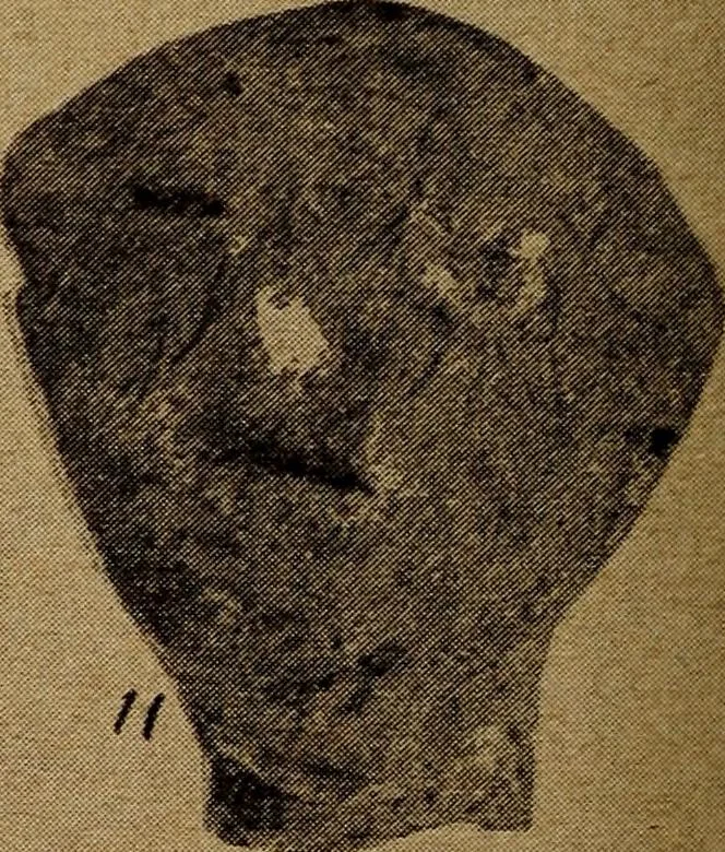 An illustration from Ohio archæological and historical quarterly, 1887, leaf 375
