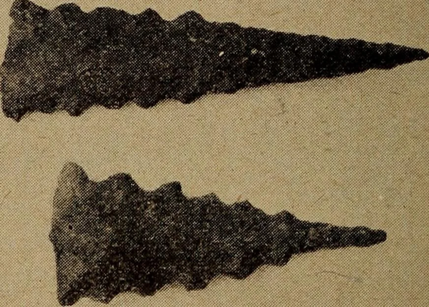 An illustration from Ohio archæological and historical quarterly, 1887, leaf 377