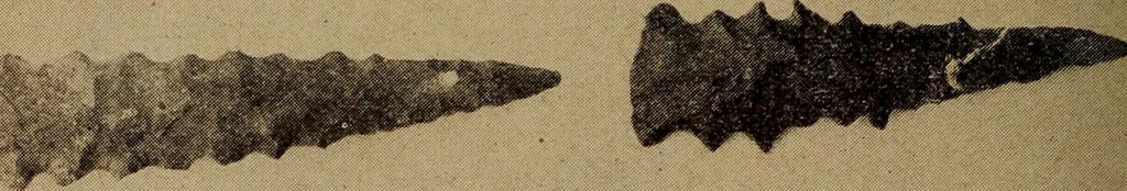 An illustration from Ohio archæological and historical quarterly, 1887, leaf 377