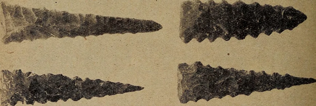 An illustration from Ohio archæological and historical quarterly, 1887, leaf 377