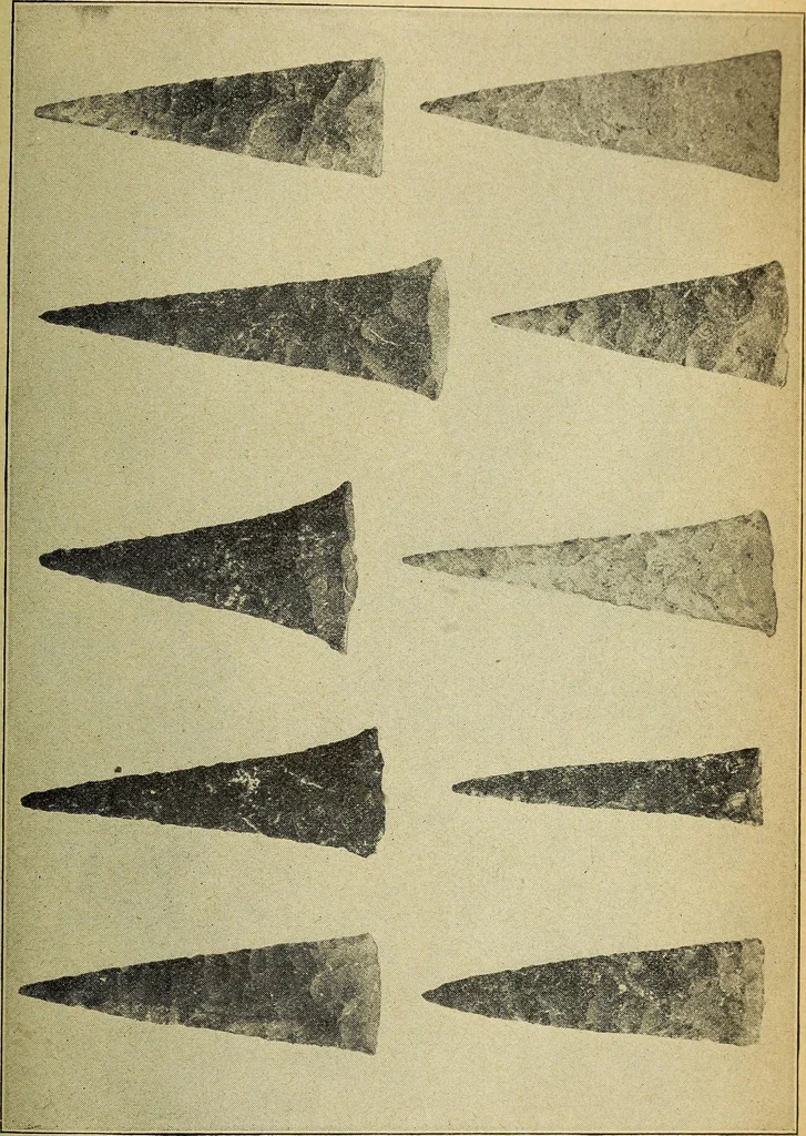 An illustration from Ohio archæological and historical quarterly, 1887, leaf 378