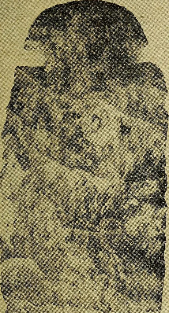 An illustration from Ohio archæological and historical quarterly, 1887, leaf 380