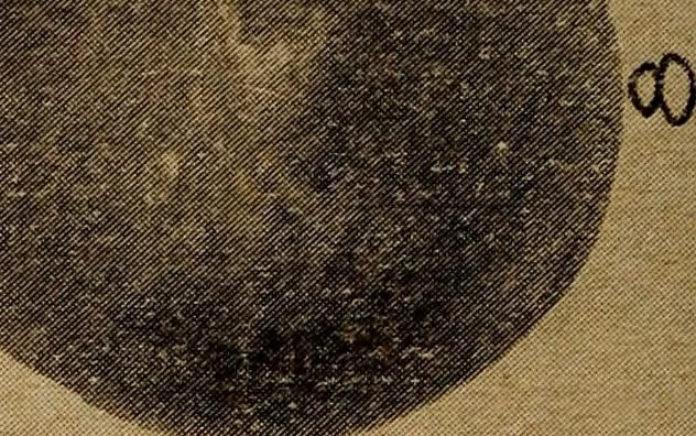 An illustration from Ohio archæological and historical quarterly, 1887, leaf 383