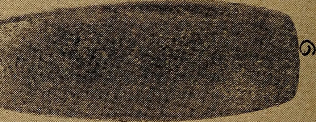 An illustration from Ohio archæological and historical quarterly, 1887, leaf 383