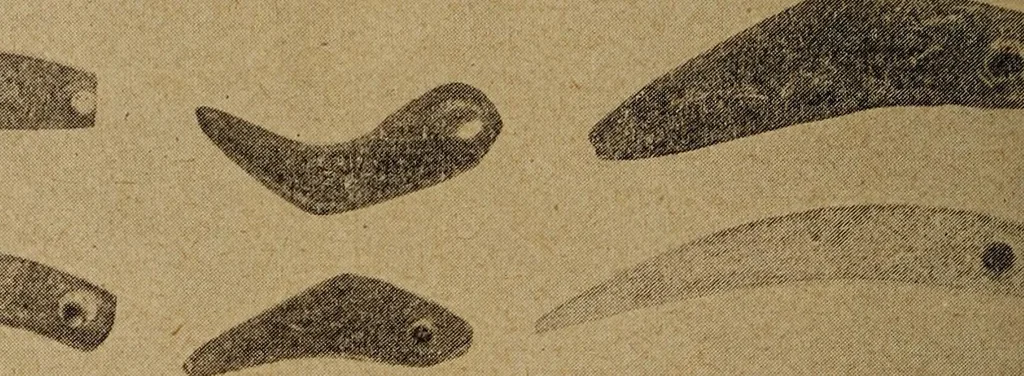 An illustration from Ohio archæological and historical quarterly, 1887, leaf 391