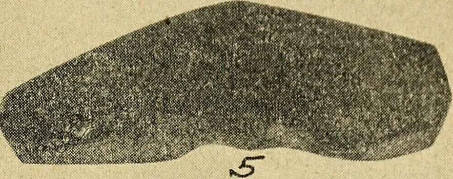 An illustration from Ohio archæological and historical quarterly, 1887, leaf 392