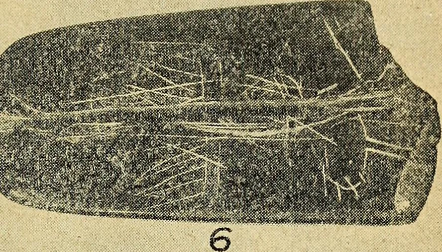 An illustration from Ohio archæological and historical quarterly, 1887, leaf 392