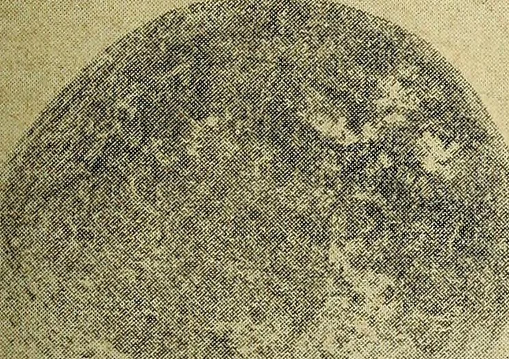 An illustration from Ohio archæological and historical quarterly, 1887, leaf 392