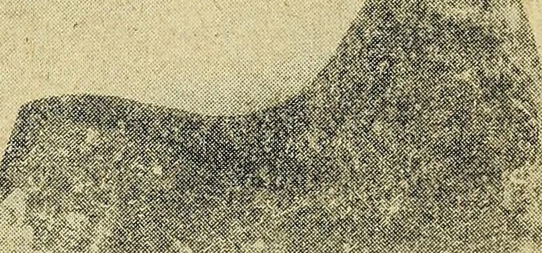 An illustration from Ohio archæological and historical quarterly, 1887, leaf 392