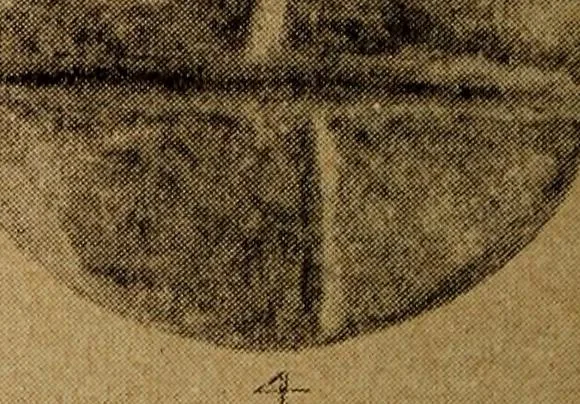 An illustration from Ohio archæological and historical quarterly, 1887, leaf 393
