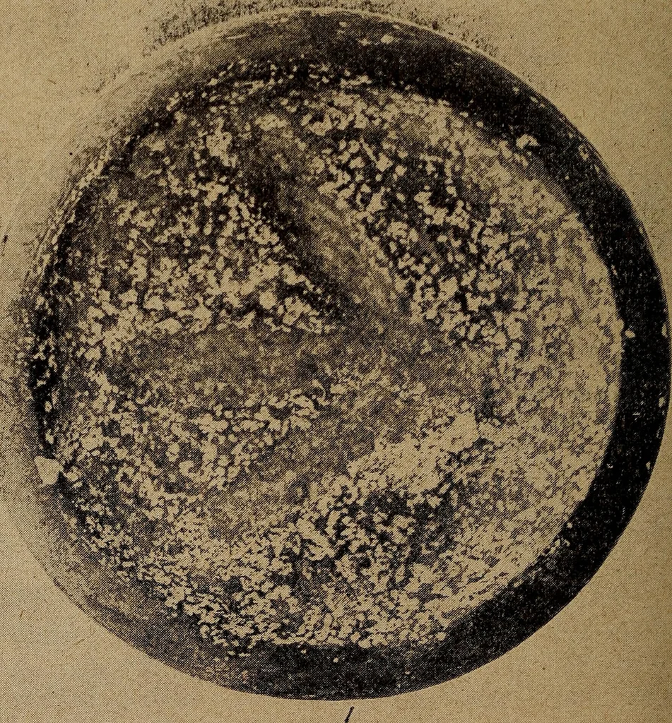 An illustration from Ohio archæological and historical quarterly, 1887, leaf 395