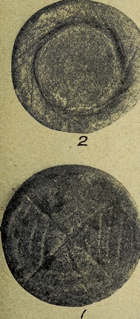 An illustration from Ohio archæological and historical quarterly, 1887, leaf 396