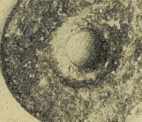 An illustration from Ohio archæological and historical quarterly, 1887, leaf 396