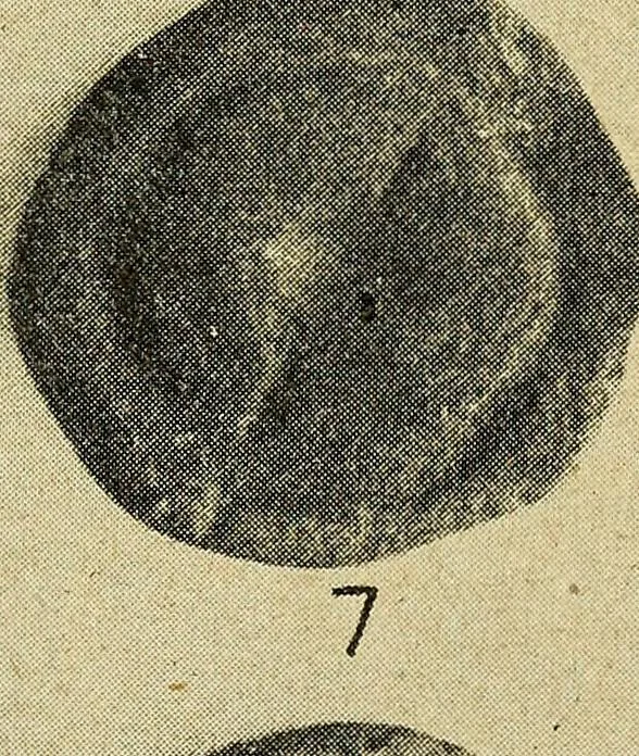 An illustration from Ohio archæological and historical quarterly, 1887, leaf 396