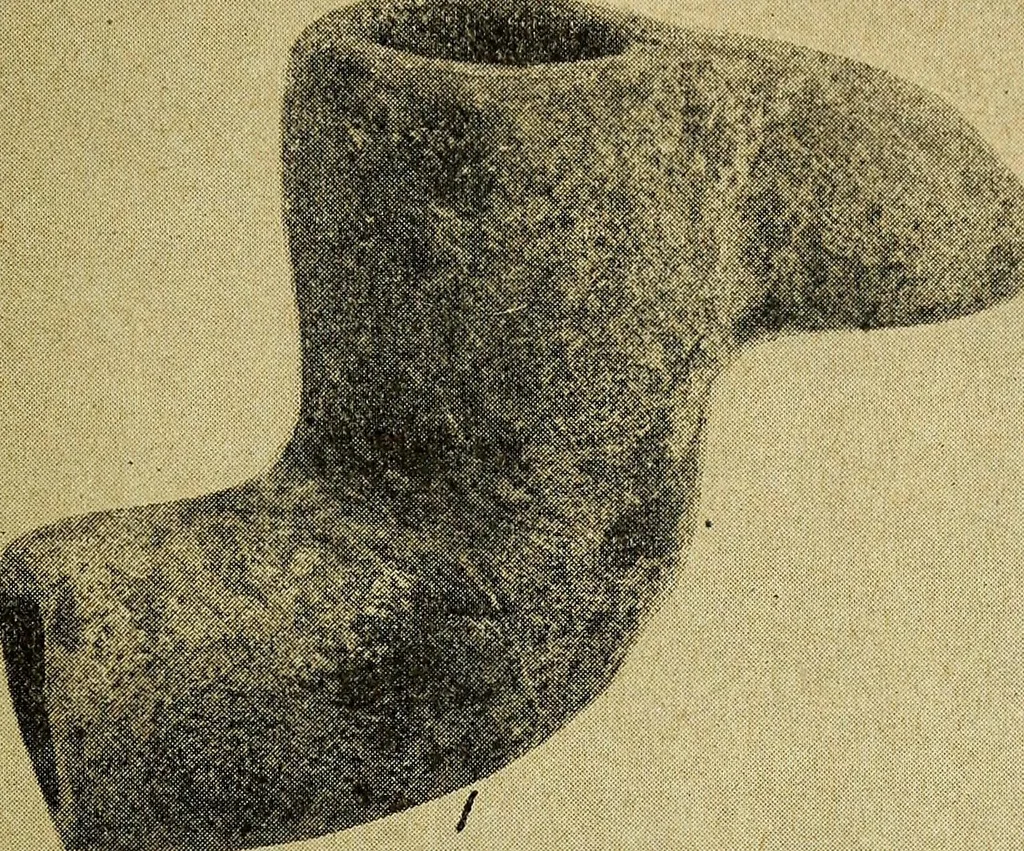An illustration from Ohio archæological and historical quarterly, 1887, leaf 402