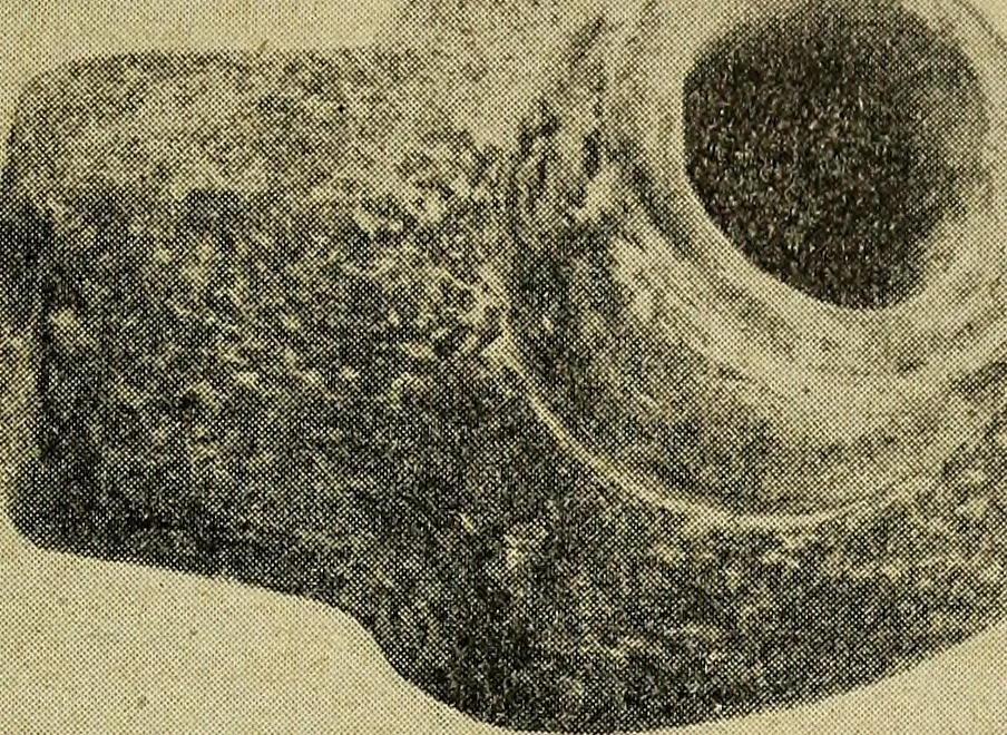 An illustration from Ohio archæological and historical quarterly, 1887, leaf 404