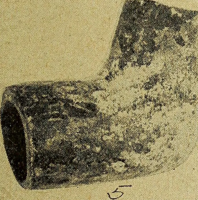 An illustration from Ohio archæological and historical quarterly, 1887, leaf 406