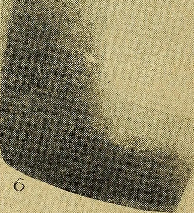 An illustration from Ohio archæological and historical quarterly, 1887, leaf 406