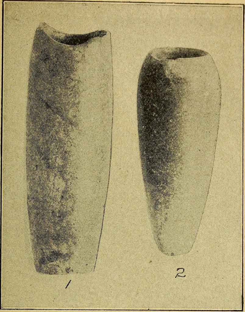 An illustration from Ohio archæological and historical quarterly, 1887, leaf 410