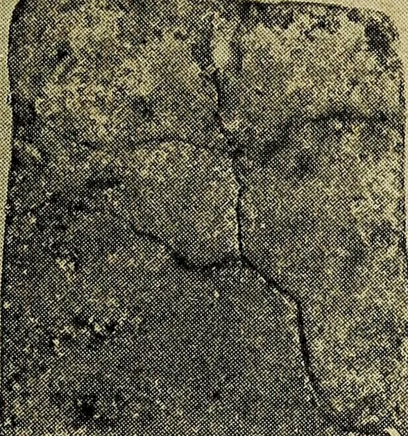 An illustration from Ohio archæological and historical quarterly, 1887, leaf 412