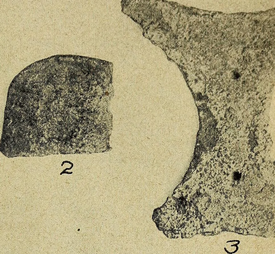 An illustration from Ohio archæological and historical quarterly, 1887, leaf 412