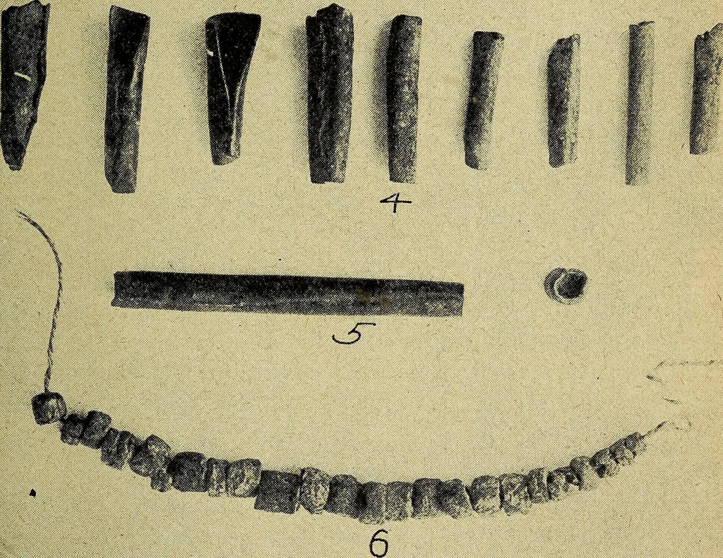 An illustration from Ohio archæological and historical quarterly, 1887, leaf 412