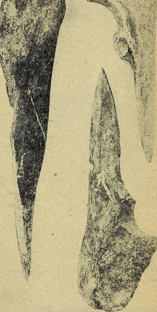 An illustration from Ohio archæological and historical quarterly, 1887, leaf 416