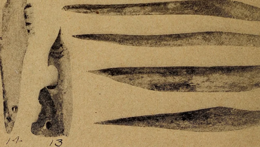 An illustration from Ohio archæological and historical quarterly, 1887, leaf 417