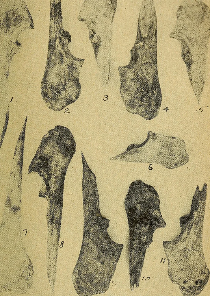 An illustration from Ohio archæological and historical quarterly, 1887, leaf 418