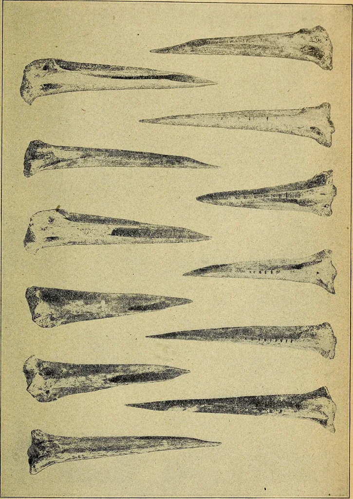 An illustration from Ohio archæological and historical quarterly, 1887, leaf 420