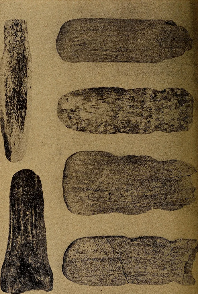 An illustration from Ohio archæological and historical quarterly, 1887, leaf 431