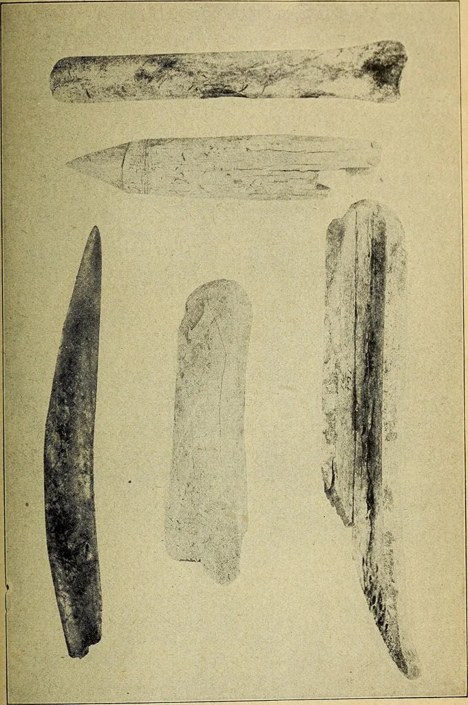 An illustration from Ohio archæological and historical quarterly, 1887, leaf 434