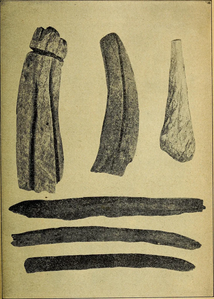 An illustration from Ohio archæological and historical quarterly, 1887, leaf 440