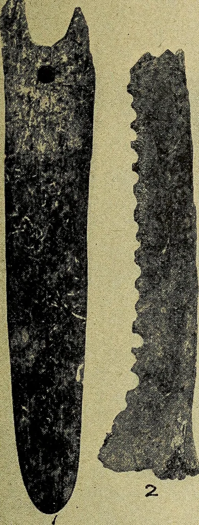 An illustration from Ohio archæological and historical quarterly, 1887, leaf 446