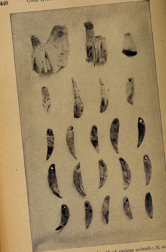 An illustration from Ohio archæological and historical quarterly, 1887, leaf 449